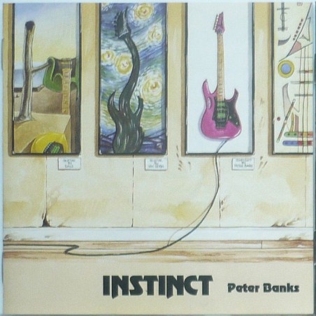 Peter Banks - Instinct