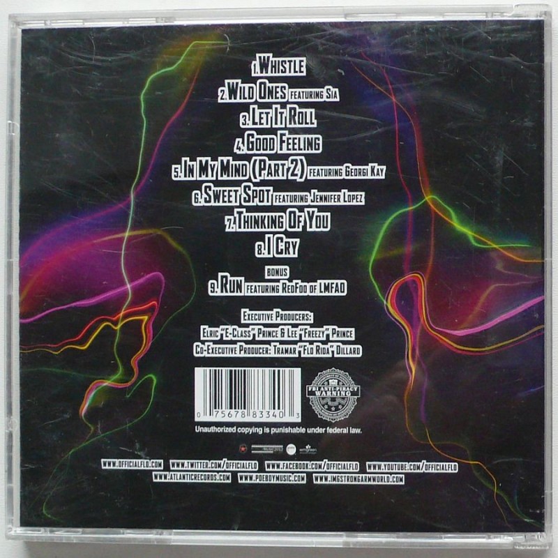 Flo Rida - Wild Ones