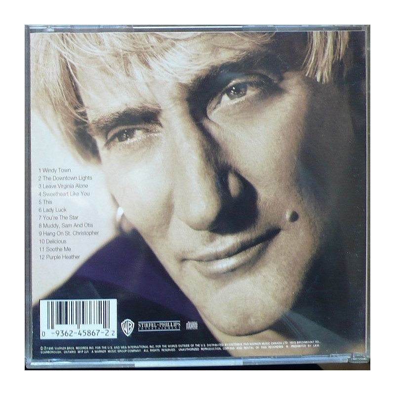 Rod Stewart - A Spanner In the Works