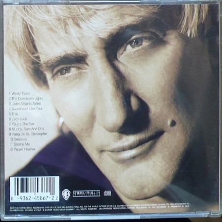 Rod Stewart - A Spanner In the Works