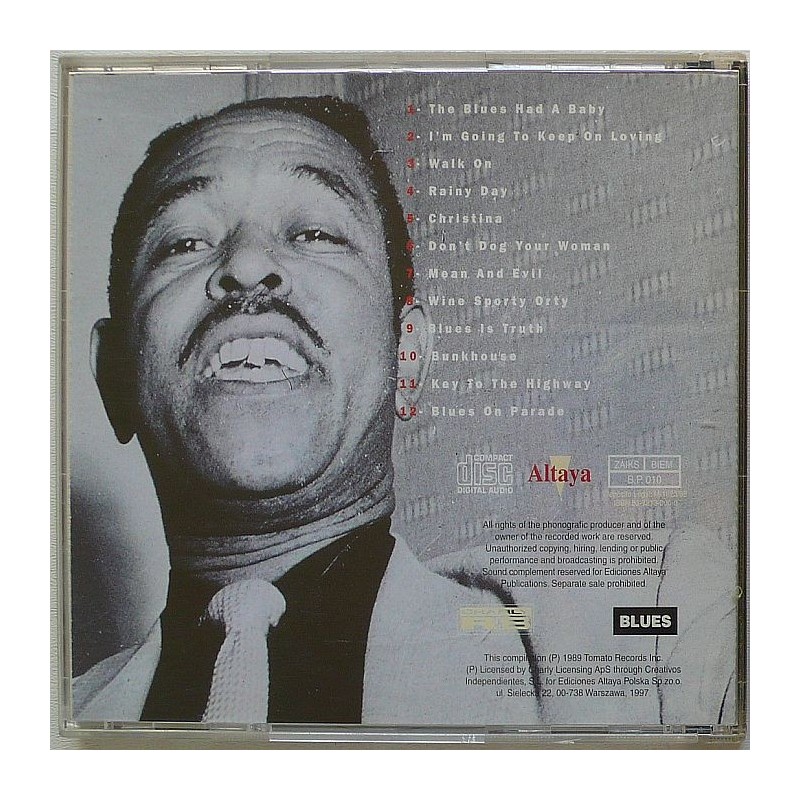 Brownie McGhee - Rainy Day