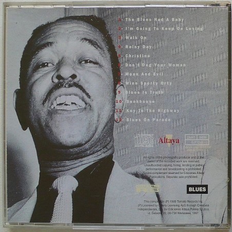 Brownie McGhee - Rainy Day
