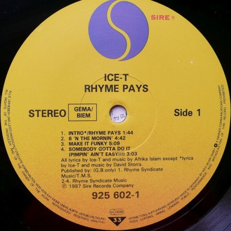 Ice T - Rhyme Pays
