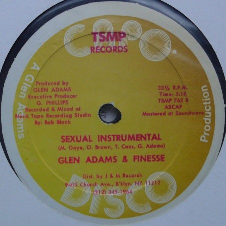 T-Ski Valley / Glen Adams & Finesse - Sexual Rapping / Sexual Instrumental