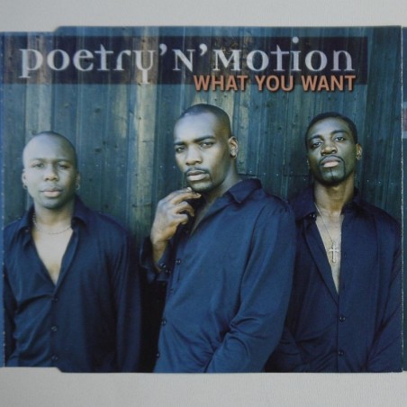 Poetry ’n’ Motion - What You Want (CDS)