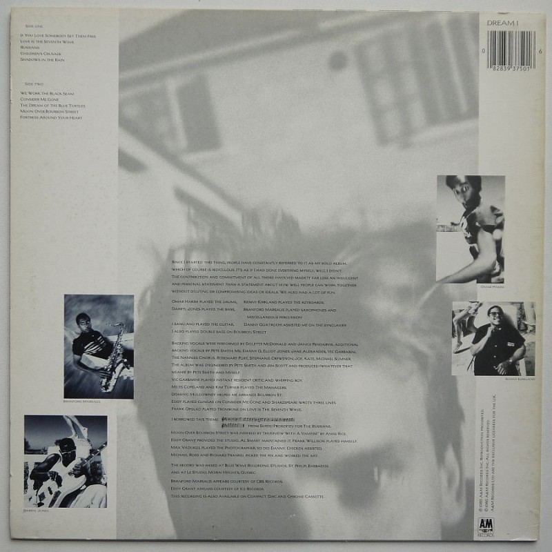 Sting - The Dream of the Blue Turtles