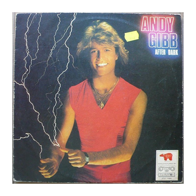 Andy Gibb - After Dark