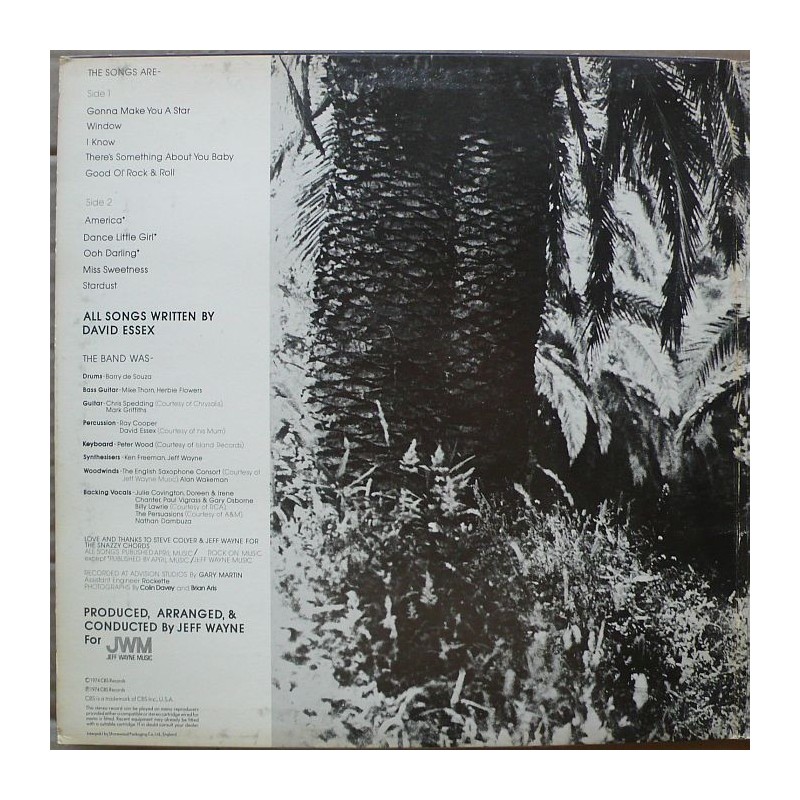 David Essex - David Essex