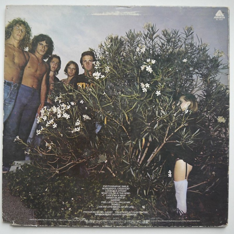 Mr Big - Photographic Smile