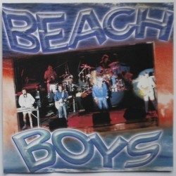 Beach Boys, The - Live Hits...