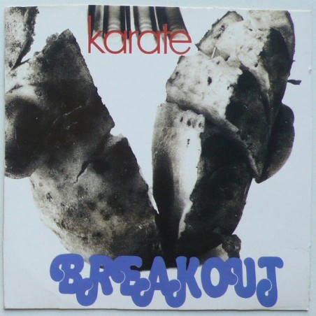 Breakout - Karate