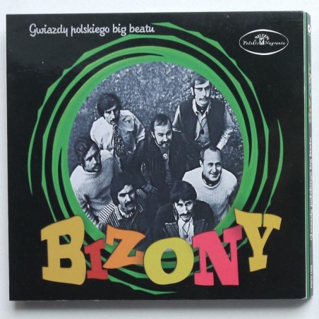 Bizony - Gwiazdy polskiego big beatu