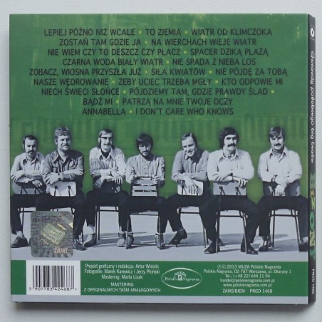 Bizony - Gwiazdy polskiego big beatu