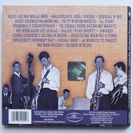 Kawalerowie - Gwiazdy polskiego big beatu