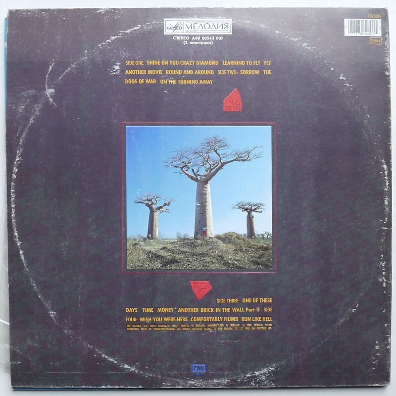 Pink Floyd - Delicate Sound Of Thunder (2lp)