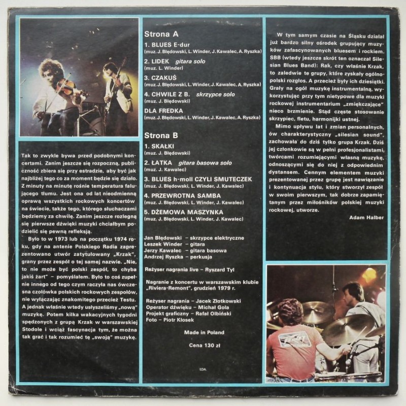 Krzak - Blues rock band