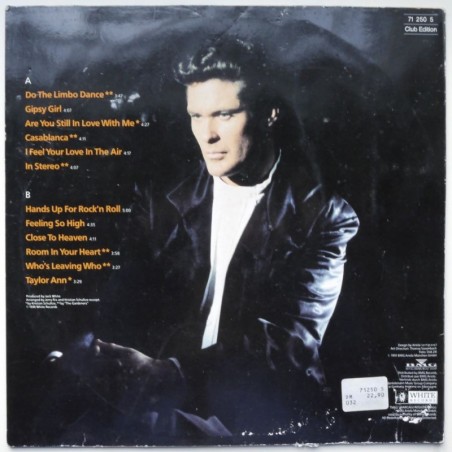 David Hasselhoff  David