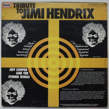 Jeff Cooper and the Stoned Wings - Tribute to Jimi Hendrix