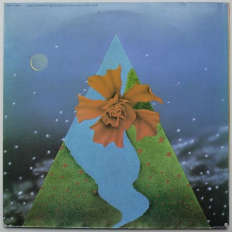 Mahavishnu Orchestra - Visions Of The Emerald Beyond