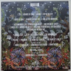 KT Fellowship, The / Kate Bush - Before The Dawn (4lp) 2