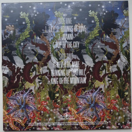 KT Fellowship, The / Kate Bush - Before The Dawn (4lp)