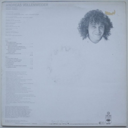 Andreas Vollenweider - White Winds