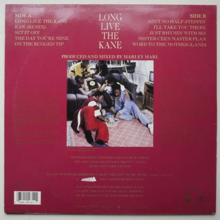 Big Daddy Kane - Long Live The Kane