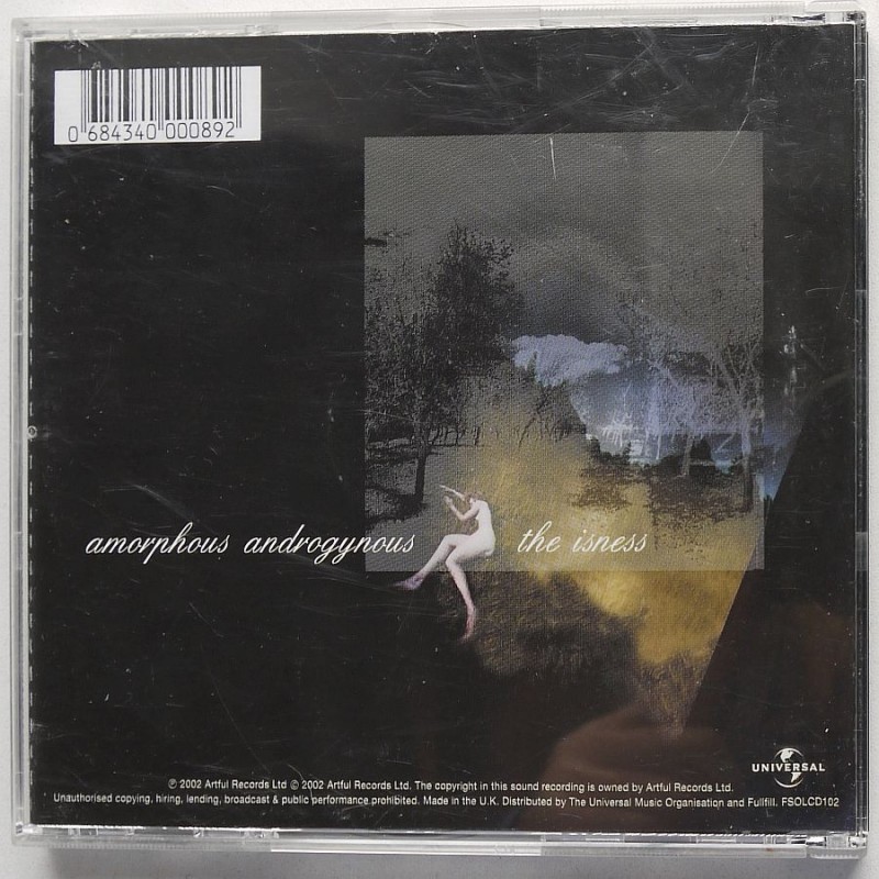 Amorphous Androgynous - The Isness