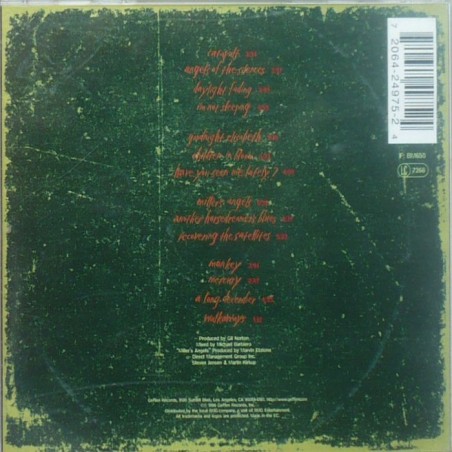 Counting Crows - Recovering The Satelites