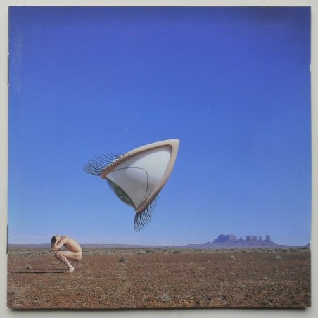 Cranberries, The - Bury The Hatchet