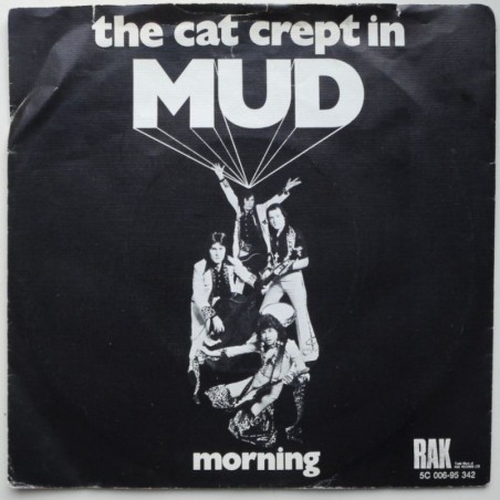 Mud - The Cat Crept In