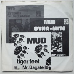 Mud - The Cat Crept In 2