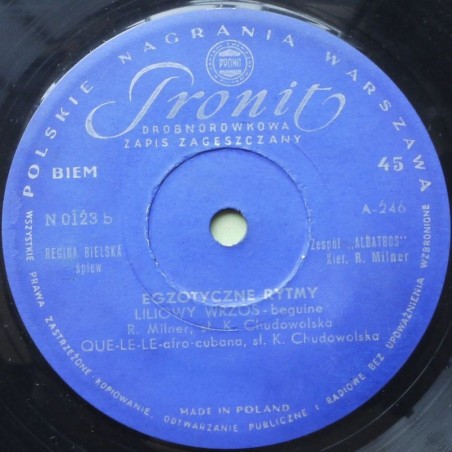 Bielska Regina - Egzotyczne rytmy