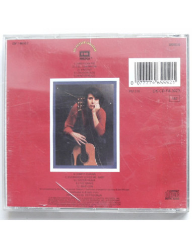 Don McLean - American Pie