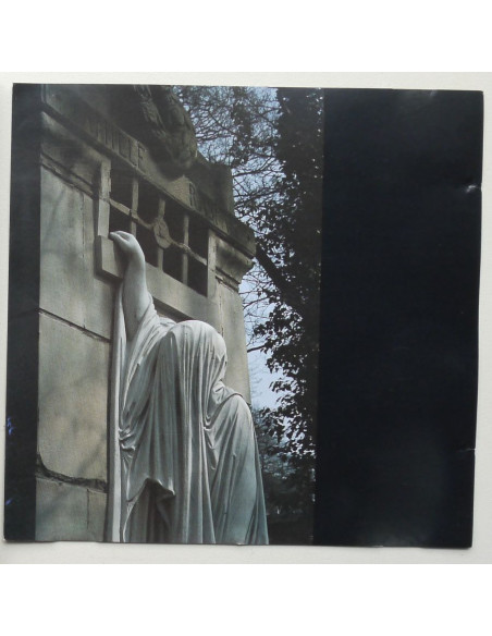 Dead Can Dance - Within The Realm Of A Dying Sun