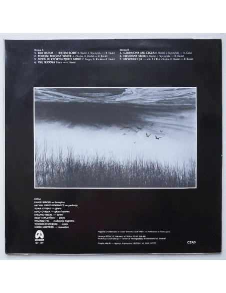 Dżem - Dzień,w którym pękło niebo