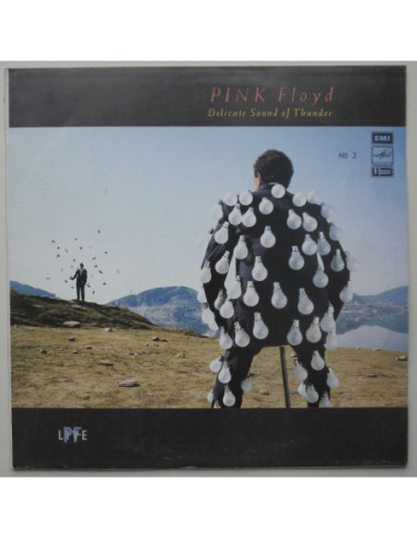 Pink Floyd - Delicate Sound Of Thunder no. 2