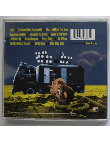 Jayhawks, The - Smile