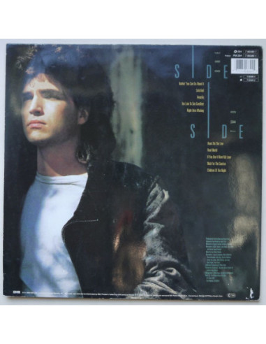 Richard Marx - Repeat Offender