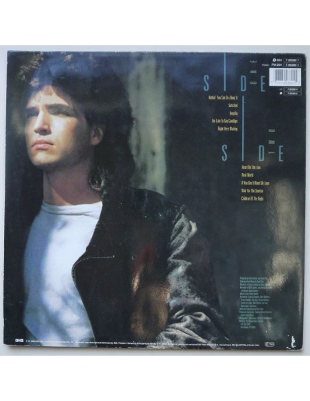 Richard Marx - Repeat Offender