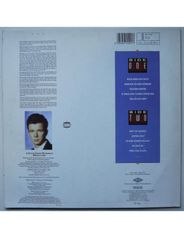 Rick Astley - Whenever You Need Somebody