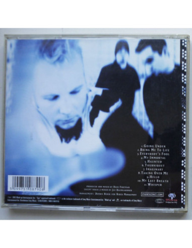 Evanescence - Fallen