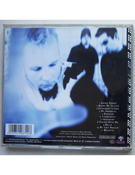 Evanescence - Fallen