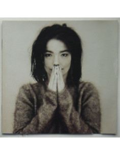 Bjork - Debut