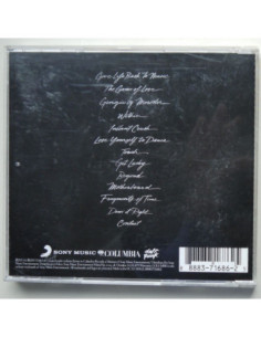Daft Punk - Random Acces Memories 2