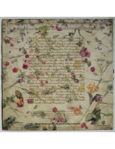 Prince and The Revolution - Purple Rain 2