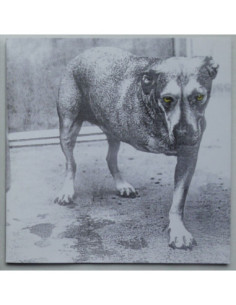 Alice in Chains - Alice in Chains