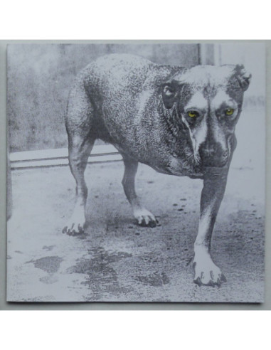Alice in Chains - Alice in Chains