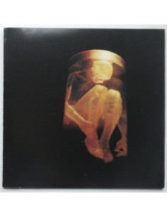 Alice in Chains - Nothing Safe