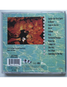 Nirvana - Nevermind 2